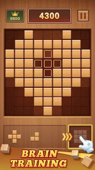 Wood Block 99 - Sudoku Puzzle (Вуд Блок 99)  [МОД Меню] Screenshot 2