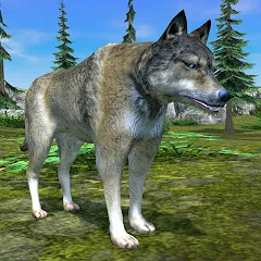 Взломанная Wolf Simulator - Animal Games  [МОД Unlimited Money] - последняя версия apk на Андроид