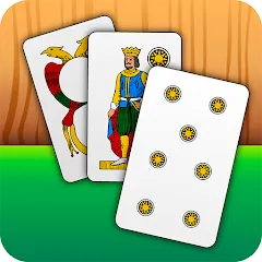 Скачать взломанную Scopa - Italian Card Game (Скопа)  [МОД Menu] - полная версия apk на Андроид