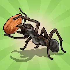 Скачать взломанную Pocket Ants: Colony Simulator (Покет Муравьи)  [МОД Много монет] - стабильная версия apk на Андроид