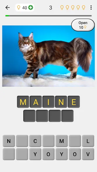 Cats Quiz Guess Popular Breeds  [МОД Много денег] Screenshot 1