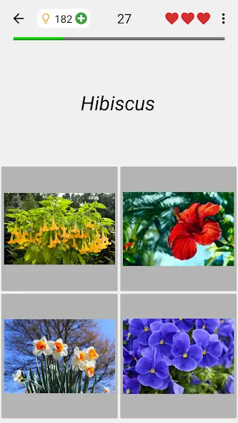 Flowers Quiz - Identify Plants  [МОД Mega Pack] Screenshot 4