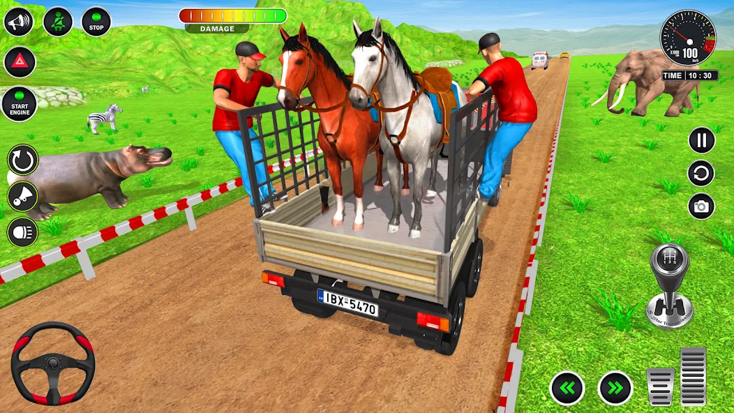 Animal Transport Truck Game 3D (Игра Грузовик для перевозки животных)  [МОД Mega Pack] Screenshot 4