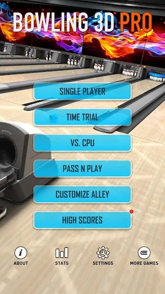 Bowling 3D Pro (Боулинг 3D Про)  [МОД Mega Pack] Screenshot 4