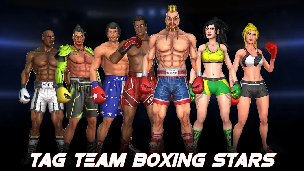 Boxing Heros: Fighting Games (Тэг Боксинг Игры)  [МОД Unlocked] Screenshot 5