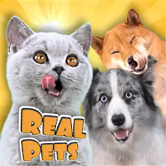 Скачать взломанную Adopt a pet : Corgi Games (Риал Петс бай Фруви)  [МОД Меню] - последняя версия apk на Андроид