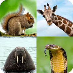 Скачать взлом Animal Quiz: Guess the Animal  [МОД Mega Pack] - последняя версия apk на Андроид