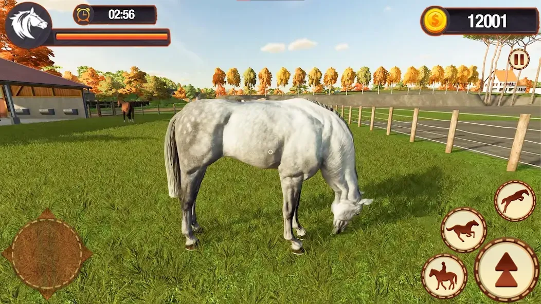 My Horse Herd Care Simulator (Мой симулятор ухода за стадом лошадей)  [МОД Бесконечные деньги] Screenshot 5