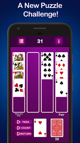 Puzzle Poker Joker's Wild  [МОД Меню] Screenshot 1