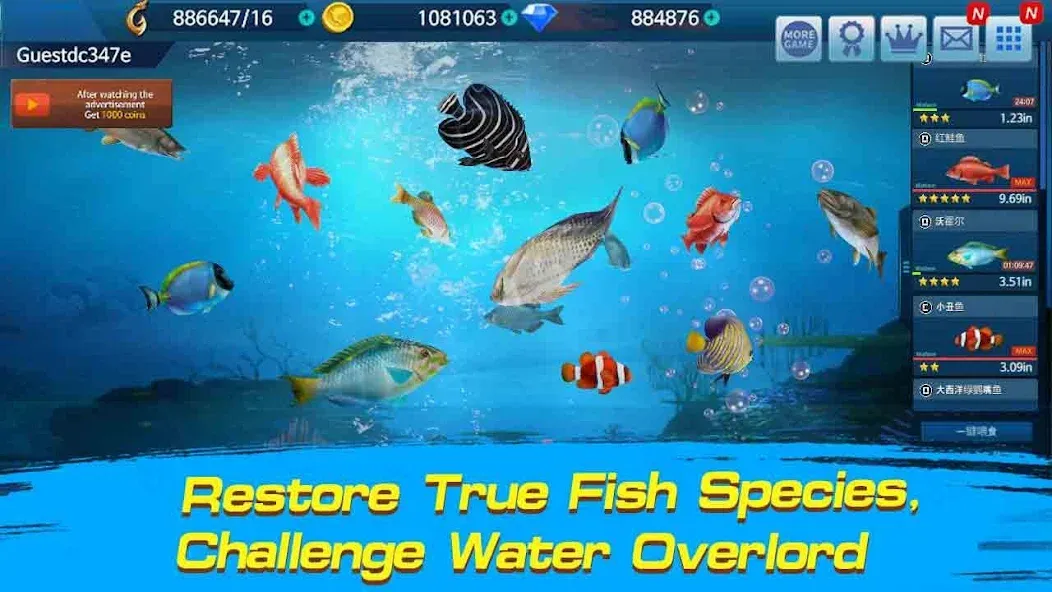 Fishing Championship  [МОД Unlimited Money] Screenshot 2