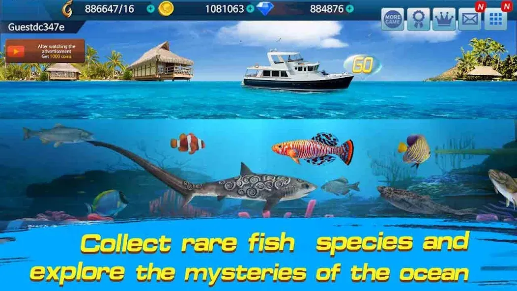 Fishing Championship  [МОД Unlimited Money] Screenshot 3