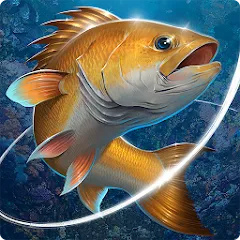 Взлом Fishing Hook  [МОД Много монет] - стабильная версия apk на Андроид