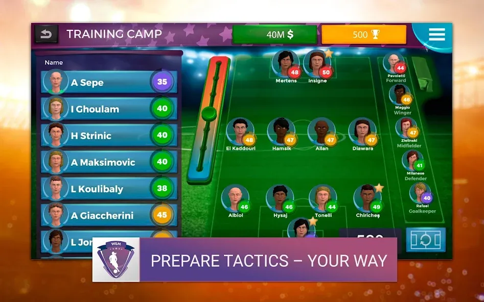 WSM - Women's Soccer Manager (ВСМ)  [МОД Много денег] Screenshot 5