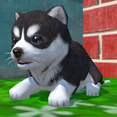 Скачать взлом Cute Pocket Puppy 3D (Сьют Покет Паппи 3Д)  [МОД Все открыто] - стабильная версия apk на Андроид