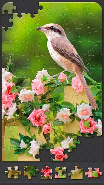 Jigsaw Puzzles for Adults  [МОД Unlimited Money] Screenshot 3