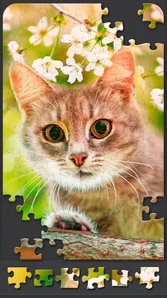 Jigsaw Puzzles for Adults  [МОД Unlimited Money] Screenshot 5