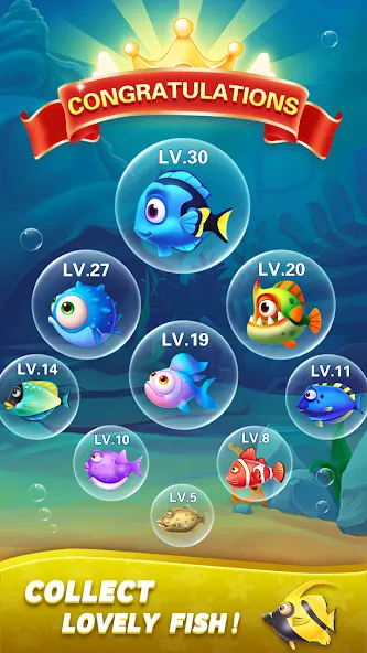 Block Ocean 1010 Puzzle Games (Блок Океан 1010 Головоломки)  [МОД Меню] Screenshot 5