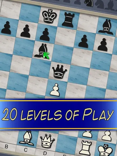 Chess V+ - board game of kings  [МОД Menu] Screenshot 5