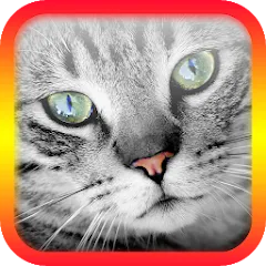 Скачать взломанную Translator for Cats Prank  [МОД Меню] - последняя версия apk на Андроид