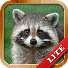 Скачать взлом Animals for Kids  [МОД Menu] - последняя версия apk на Андроид