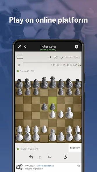 Chessnut (Честнат)  [МОД Mega Pack] Screenshot 2