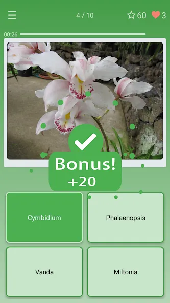 Quiz: Flowers, Plants  [МОД Mega Pack] Screenshot 2